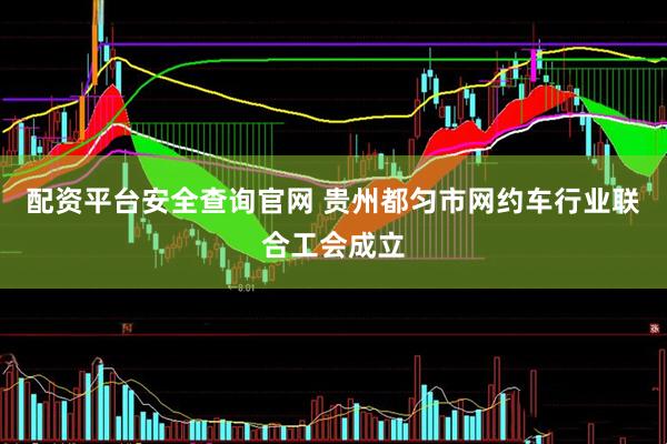 配资平台安全查询官网 贵州都匀市网约车行业联合工会成立
