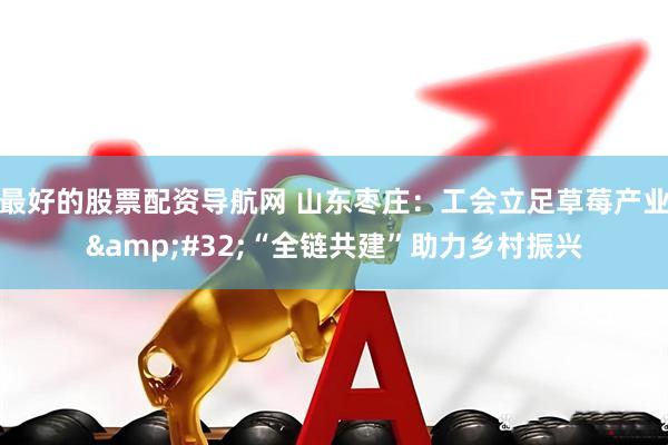 最好的股票配资导航网 山东枣庄：工会立足草莓产业&#32;“全链共建”助力乡村振兴