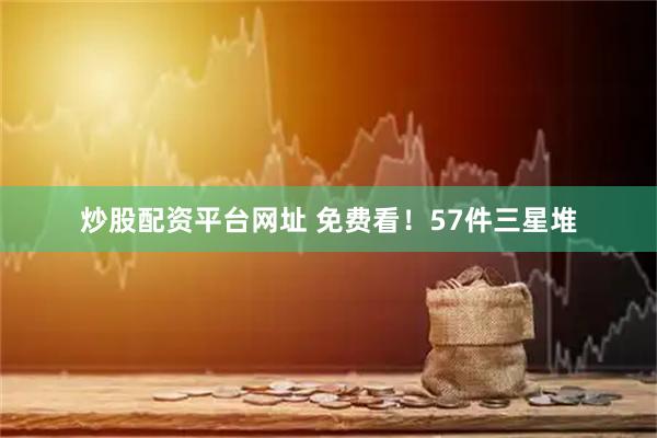 炒股配资平台网址 免费看！57件三星堆