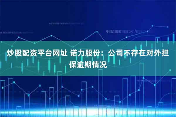 炒股配资平台网址 诺力股份：公司不存在对外担保逾期情况