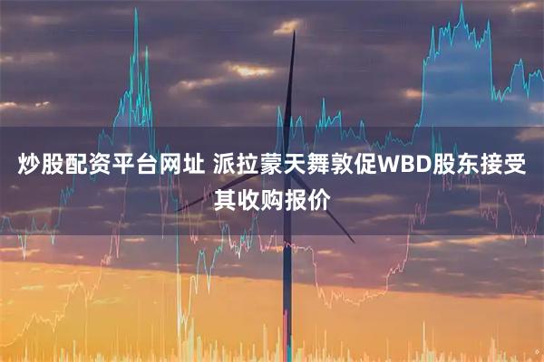 炒股配资平台网址 派拉蒙天舞敦促WBD股东接受其收购报价
